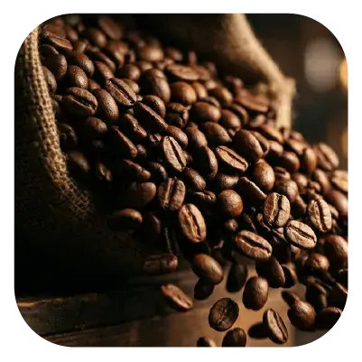 collection-img